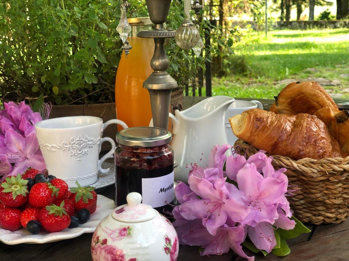 Manoir De Chantemerle Sainte-Fortunade Экстерьер фото