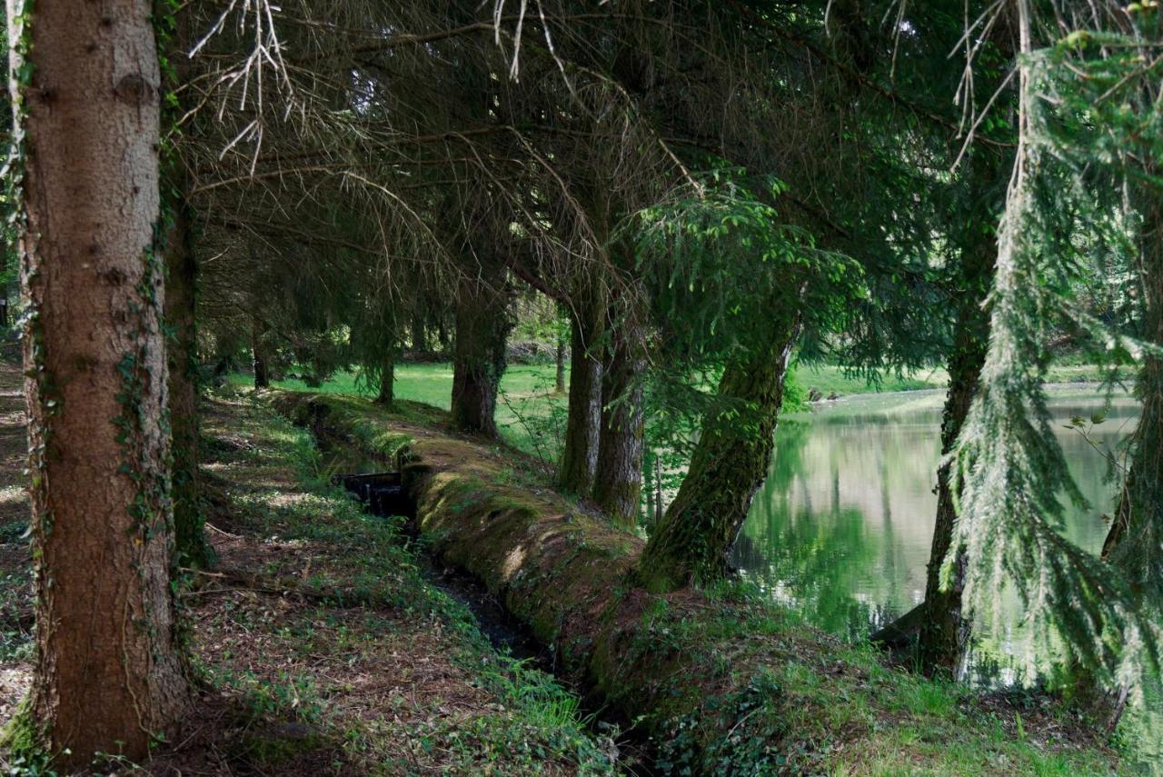 Manoir De Chantemerle Sainte-Fortunade Экстерьер фото